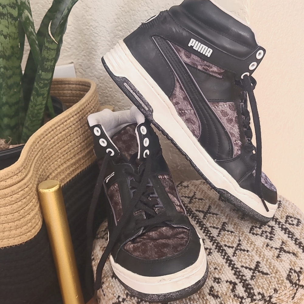Leopard pumas